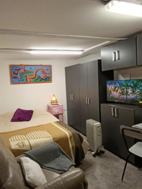 suite independiente, Studio Apartment, Loft Independiente
